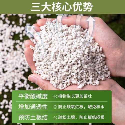 硬质软质珍珠岩大颗粒养花通用植物垫底铺面通用透气园艺珍珠岩 - 图0