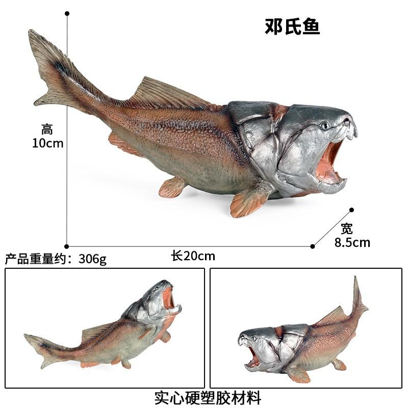儿童玩具仿真动物模型侏罗纪史前海洋生物胴壳鱼实心邓氏鱼龙鱼摆 - 图1