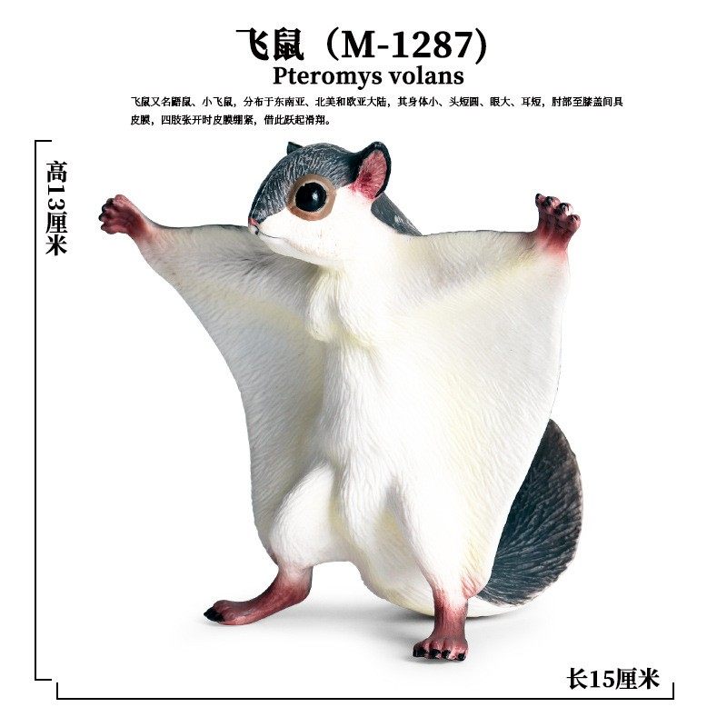 儿童玩具仿真实心野生动物模型老鼠大飞鼠豚鼠土拨鼠认知整蛊摆件,淘宝优惠券,粉丝福利购,淘宝优惠卷