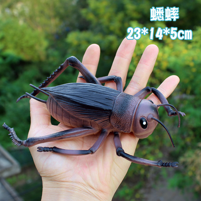 大号儿童玩具仿真动物昆虫模型摆件蟋蟀瓢虫蜘蛛蝎子虫子男孩塑胶 - 图0