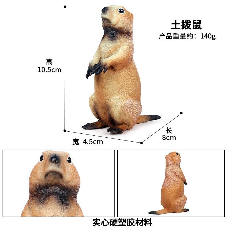 儿童玩具仿真实心野生动物模型老鼠大飞鼠豚鼠土拨鼠认知整蛊摆件,淘宝优惠券,粉丝福利购,淘宝优惠卷