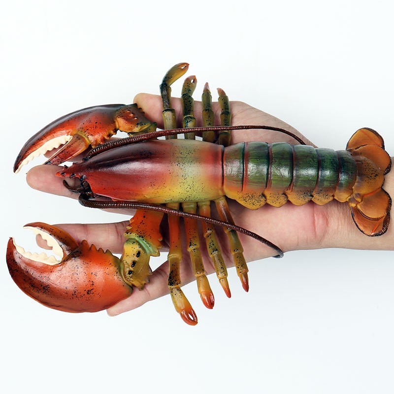 儿童玩具仿真动物海洋海底生物模型龙虾虎虾皮皮虾小龙虾科教认知 - 图1