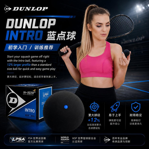 邓禄普登路普DUNLOP双黄点壁球职业比赛球蓝点红单黄点标准弹力球 - 图1