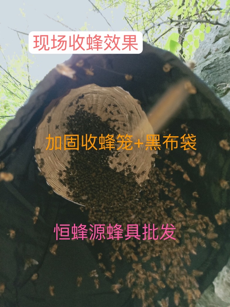 加固竹制收蜂笼全套配黑布袋捕蜂器收蜜蜂竹编收蜂笼野外诱蜂捕蜂-图2