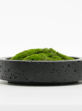 树脂托盘仿真苔藓摆件