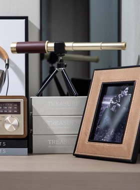 人造皮革轻奢风客厅书房玄关