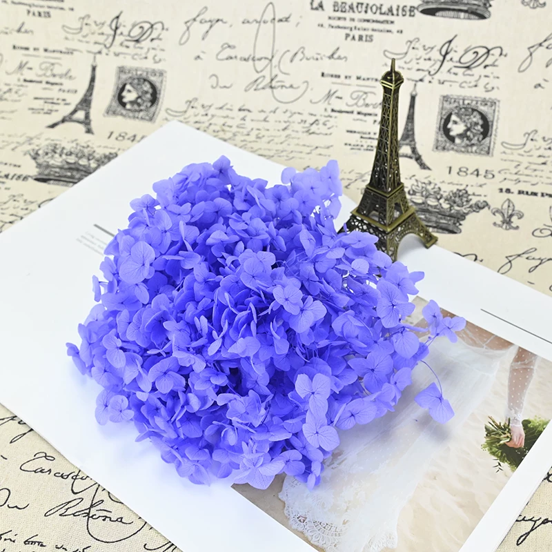 Дизайнерский набор: магический цветок Yongsheng Flower A-класс Anna гортензия 20 грамм материалов 520 цветов DIY материалы единорог и засушенные цветы