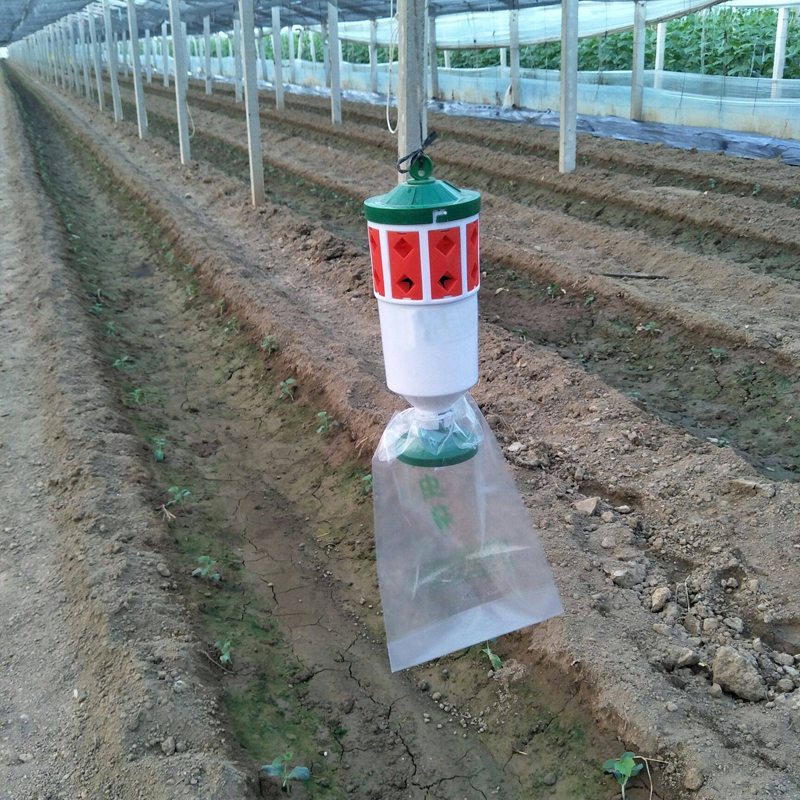 斜纹夜蛾诱灭冥娥神器飞蛾诱捕器甜菜草地贪夜娥诱捕器杀虫信息素 - 图0