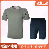 Public Hair Fitness Training Suit Short Sleeve Shorts T-Shirt Round Collar Men And Women Sports Fitness Breathable Perspiration Dry Clothing