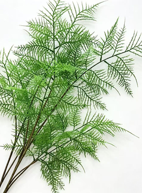 仿真大蕨叶文竹落地装饰植物