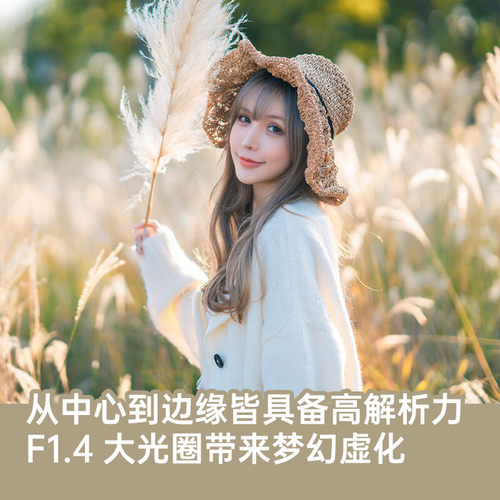 [国行带票]SIGMA适马85mm f1.4 DG DN Art 全画幅镜头E卡口85F1.4 - 图1