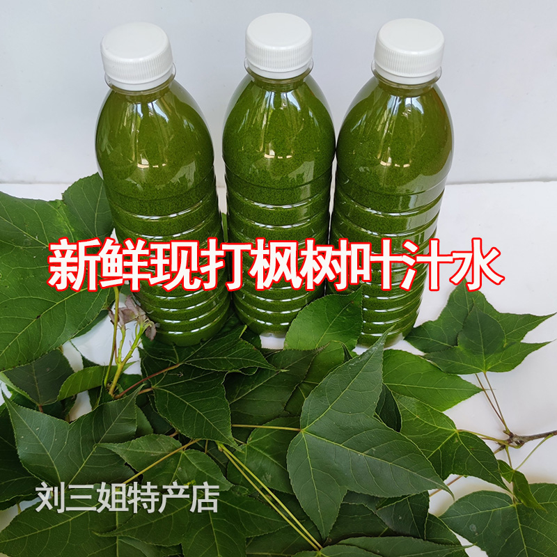 枫树叶汁水黑色新鲜广西三月三花米清明香枫叶五色糯米饭植物染料 - 图0