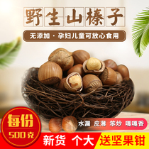 Northeast Teryield original taste small hazelnut fried cooked water leaking hand clapping iron Ridge small hazelnut nut snacks 500g