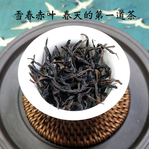 单丛茶雪春赤叶茶高山凤凰单丛潮州特产浓香型乌岽蜜兰香单枞茶叶 - 图0