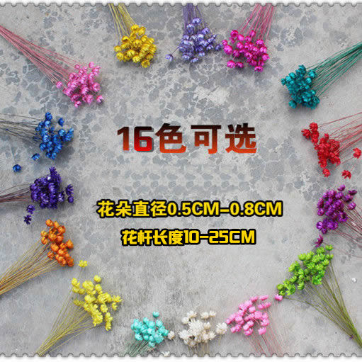 巴西小星花滴胶口红制作材料迷你小雏菊干花天星菊超小装饰插花瓶,淘宝优惠券,粉丝福利购,淘宝优惠卷