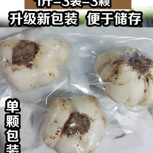 兰州鲜百合新鲜特级百合甘肃特产纯天然食用甜百合 - 图3
