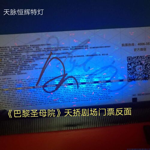 短波紫外灯 254nm实验室 层析科研试验 UVC荧光防伪检测仪手电筒 - 图2