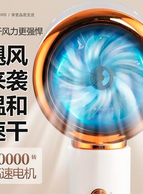 妃的电吹风机全自动摇摆负离子吹风机立式高速通用新款吹风器110v