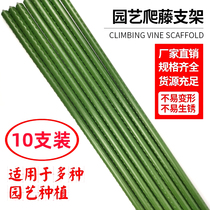 Climbing Vines Gardening Kits Plastic Steel Tubes Flower Racks Climbing bracket Outdoor lunar season Cucumber Plant Flowers Vine climbing rattan