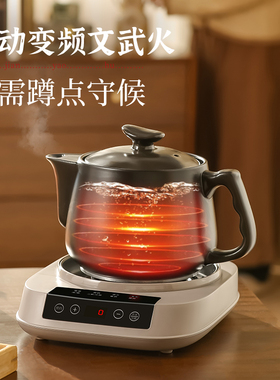 砂锅药锅电药壶煎药壶炖汤炖补品全自动保温加热分体定时煲煮药壶