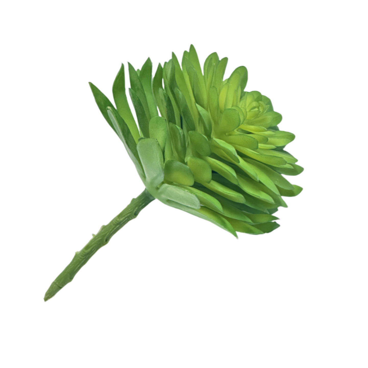 仿真多肉绿植沙漠植物墙挂壁假花束绿植热带爬宠缸造景家居装饰,淘宝优惠券,粉丝福利购,淘宝优惠卷