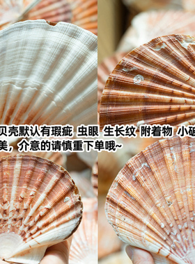 鱼缸造景装饰创意居家摆件DIY
