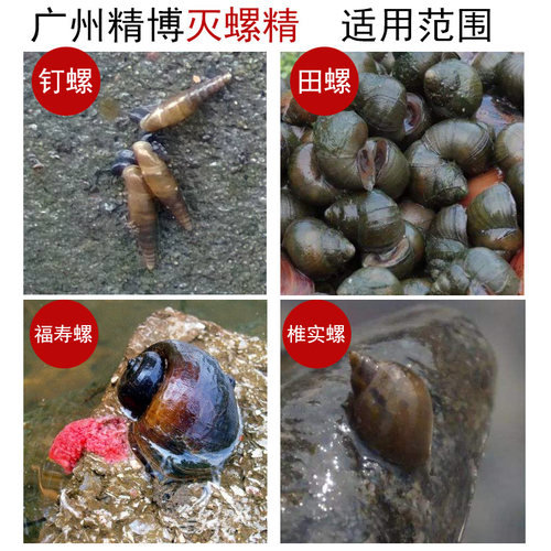 精博灭螺精米罗精杀螺药钉螺田螺杀螺剂杀螺粉除螺剂药 - 图2