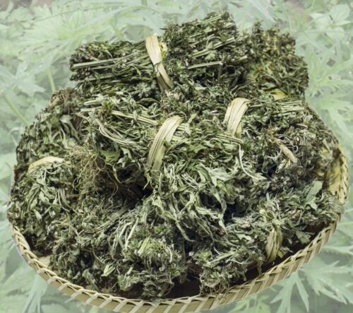 益母草中药材野生益母草茶泡水炖汤泡脚女人调理姨妈新鲜晒干包邮 - 图1