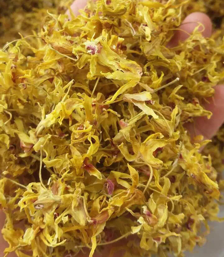 乐清霍山仿野生铁皮石斛干花干 铁皮枫斗花茶干新花送礼5斤近野生