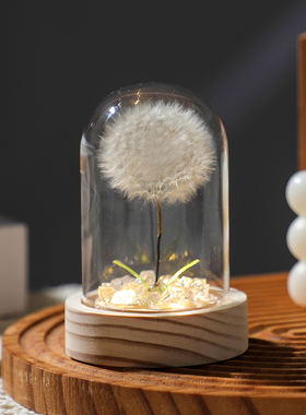 公英永生干花束小夜灯