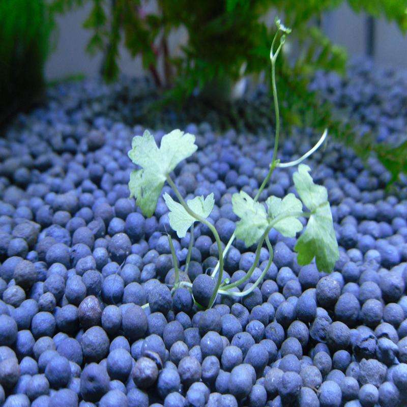 水草泥套餐鱼缸底砂造景草缸种植土陶粒砂基肥陶粒沙水草种子底沙-图1