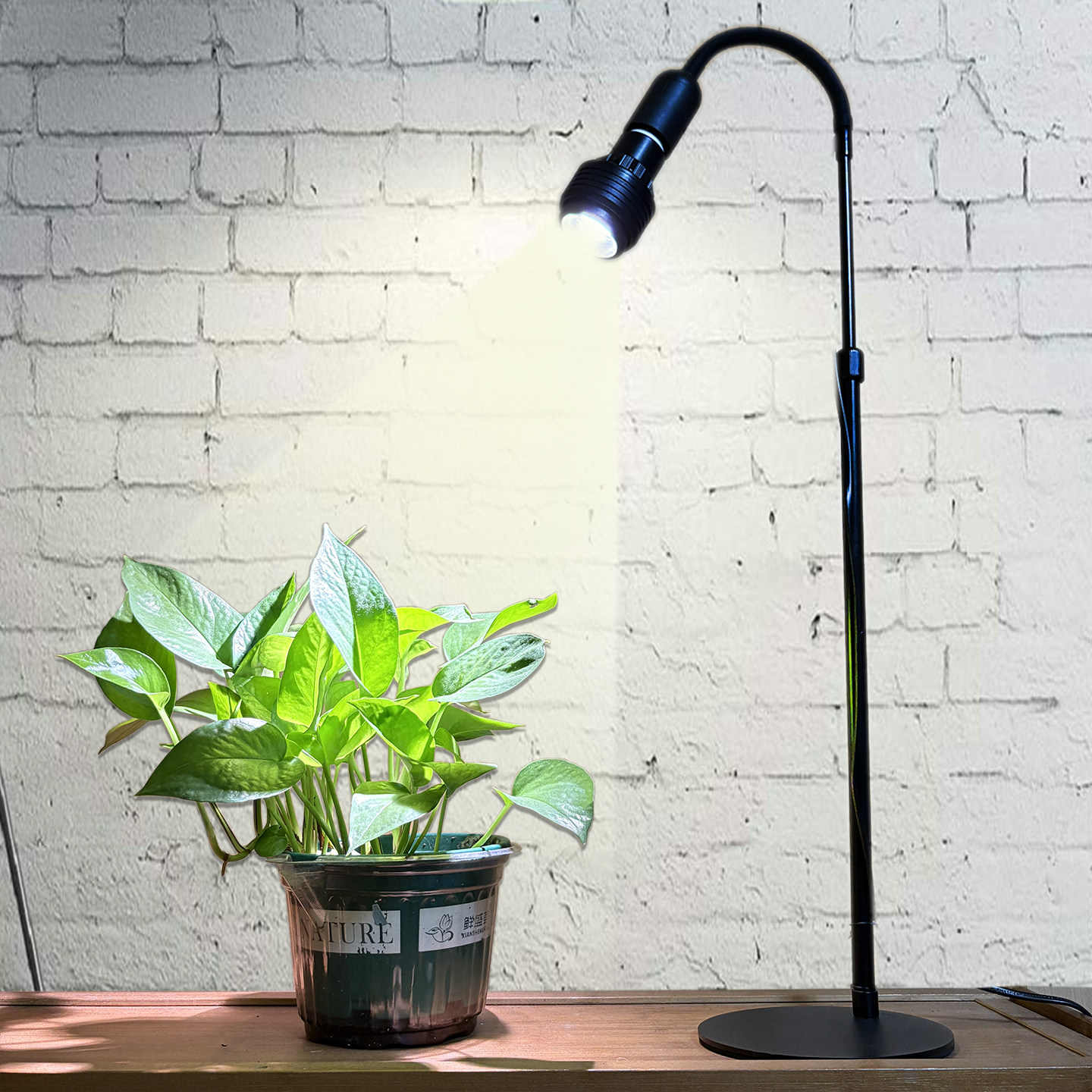 全光谱植物补光灯调焦聚光射灯泡e27螺口鱼缸爆藻绿植多肉生长灯,淘宝优惠券,粉丝福利购,淘宝优惠卷