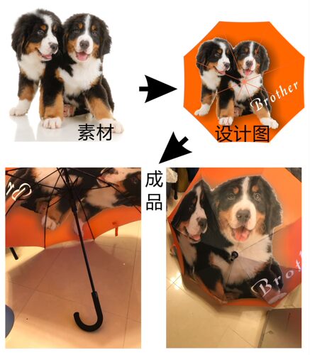 DIY个性雨伞私人来图订制伞创意礼品伞定制照片广告伞动漫遮阳伞 - 图1