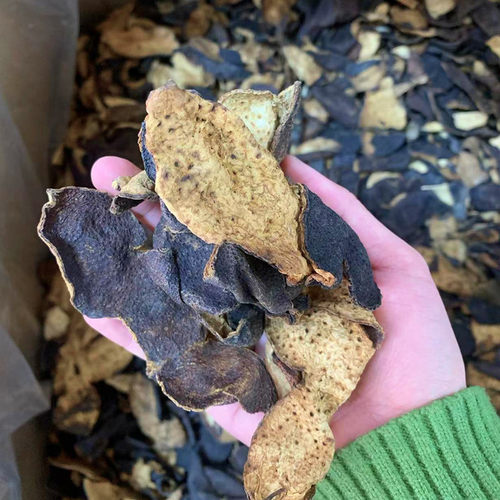 1斤装20年广东老陈皮碎 陈年陈皮泡茶煲汤送礼地道老陈皮消食开胃 - 图0