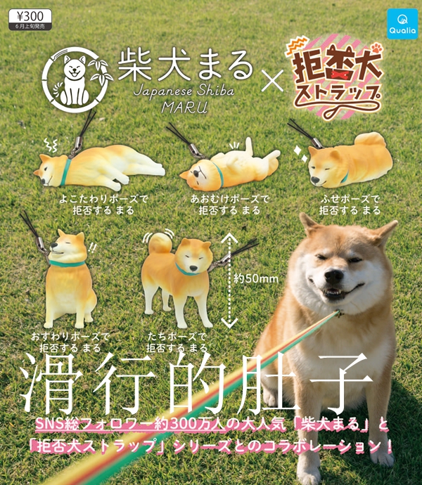 拒否犬推荐品牌 新人首单立减十元 21年6月 淘宝海外 拒否犬推荐品牌 新人首单立减十元 21年6月 淘宝海外