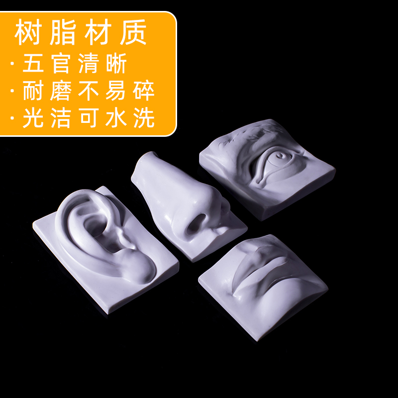 人体五官模型石膏像素描美术教具美术用品树脂头像实面切面画室-图1