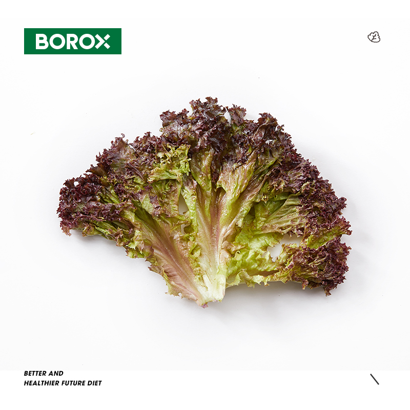 BOROX布露克即食蔬菜沙拉红叶生菜碎片4袋装「80g/袋」顺丰包邮 - 图2