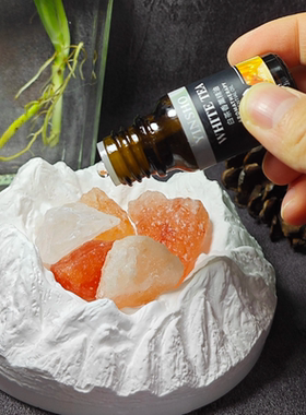 企业伴手礼礼物无火香薰室内持久家用扩香石膏摆件男女家香氛摆件