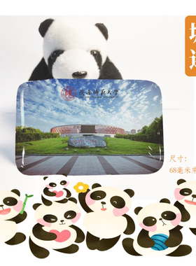 陕西师范大学冰箱贴校徽陕西师范大学纪念品校友考研高考纪念品