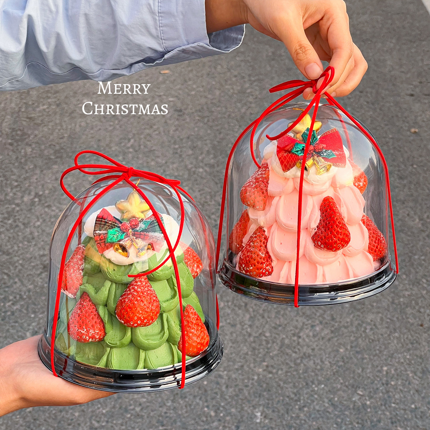 2026圣诞节4寸圣诞树蛋糕装饰透明圆形包装蝴蝶结铃铛甜品打包盒,淘宝优惠券,粉丝福利购,淘宝优惠卷