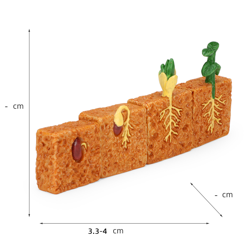 【容大原创心理沙具】植物的生命周期-4发芽生长儿童沙盘认知模型 - 图0