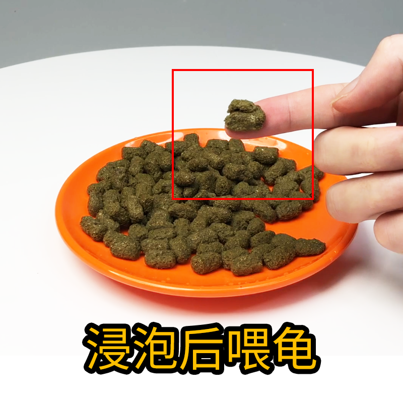 陆龟粮牧草粉粗纤维粮苏卡达豹纹辐射缅甸星龟红腿饲料马祖瑞龟粮-图1