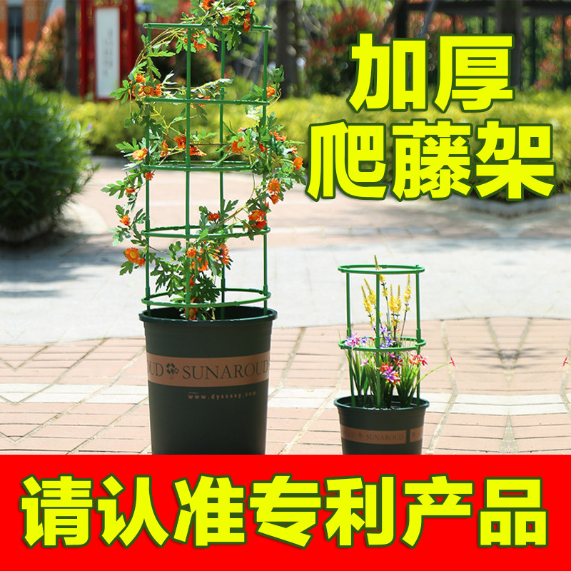 植物支撑杆园艺支架花架爬藤支架室内阳台户外绿萝蟹爪兰固定支架,淘宝优惠券,粉丝福利购,淘宝优惠卷