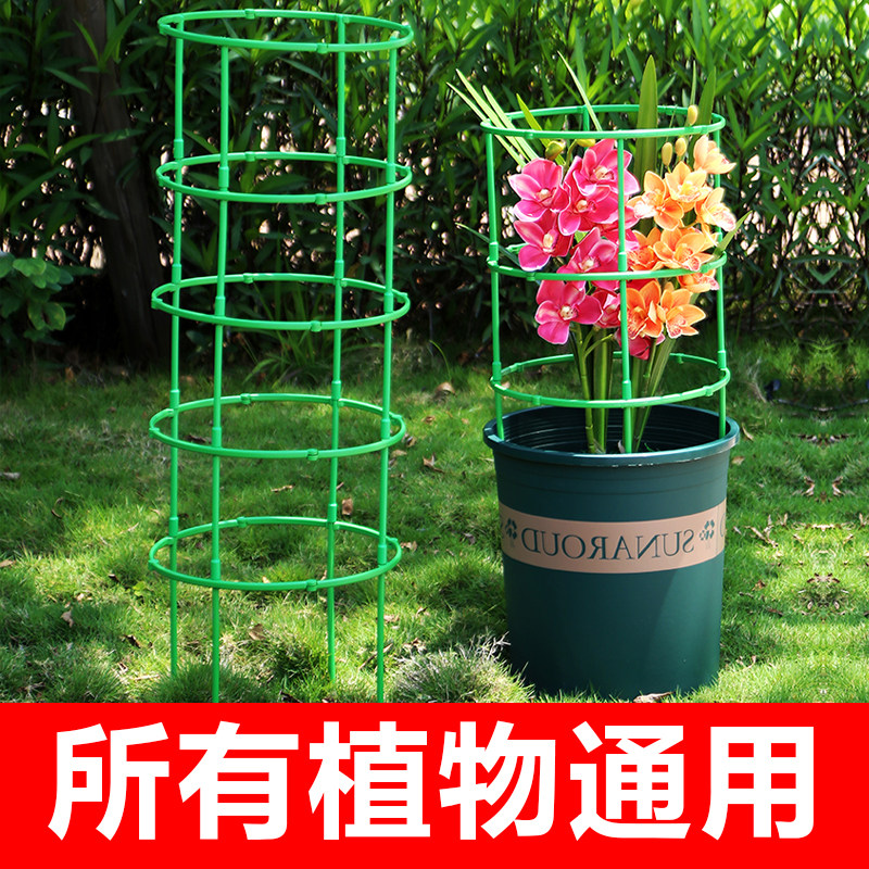 植物支撑杆园艺支架花架爬藤支架室内阳台户外绿萝蟹爪兰固定支架,淘宝优惠券,粉丝福利购,淘宝优惠卷