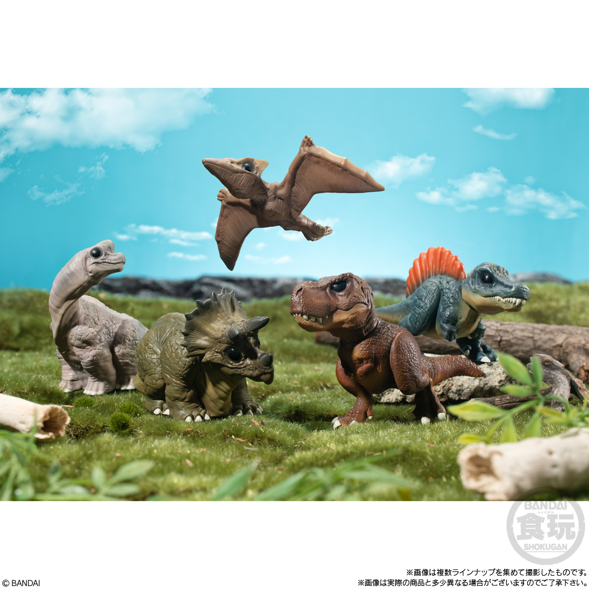 8月预售 万代 恐龙朋友 掌上小萌友 1 霸王龙 翼龙 三角龙 - 图0