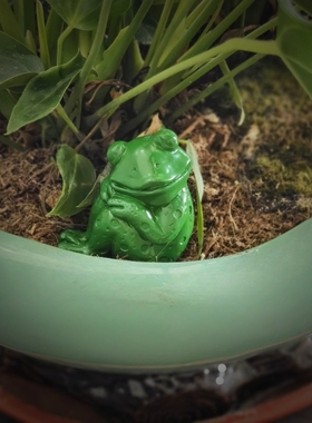 青蛙鱼缸动物花盆陶瓷