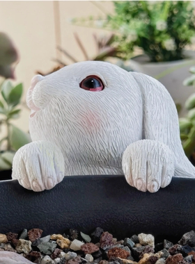 花盆鱼缸可爱仿真小动物挂件猫咪迷你树脂装饰品阳台庭院花园摆件