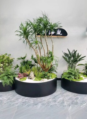 庭院弧形不锈钢异型花箱