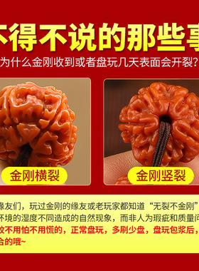 尼泊尔大金刚手串机刷包浆菩提子藏式民族风文玩手链男士饰品