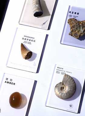 天然古化石头标本冰箱贴摆件礼物